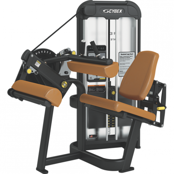 Тренажер Cybex для инвалидов