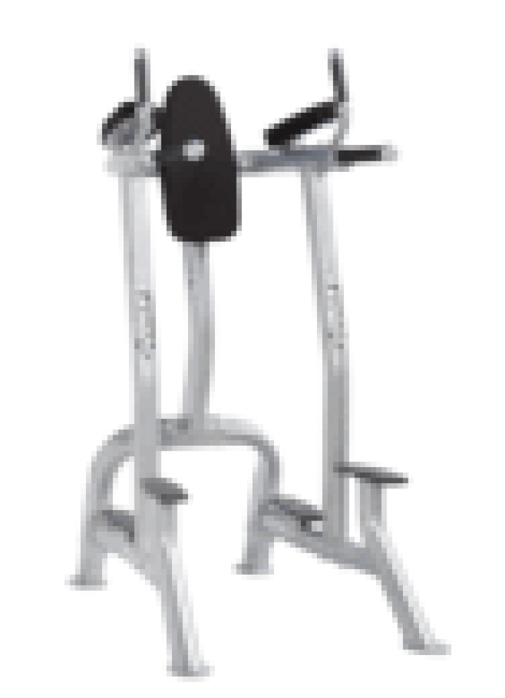 Image of VERTICAL KNEE RAISE / DIP CF-3252 