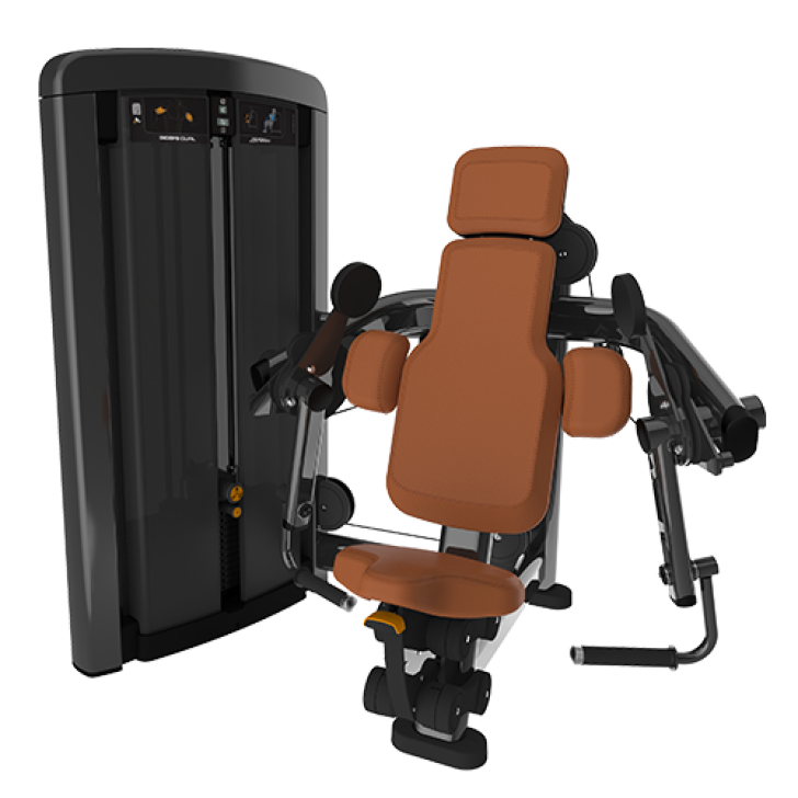 Image of Insignia Series- Biceps Curl SS-BC