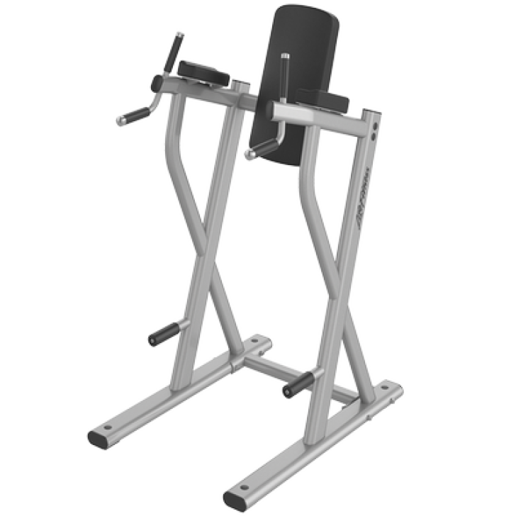 Image of Life Fitness Axiom Series Dip/ Leg Raise 