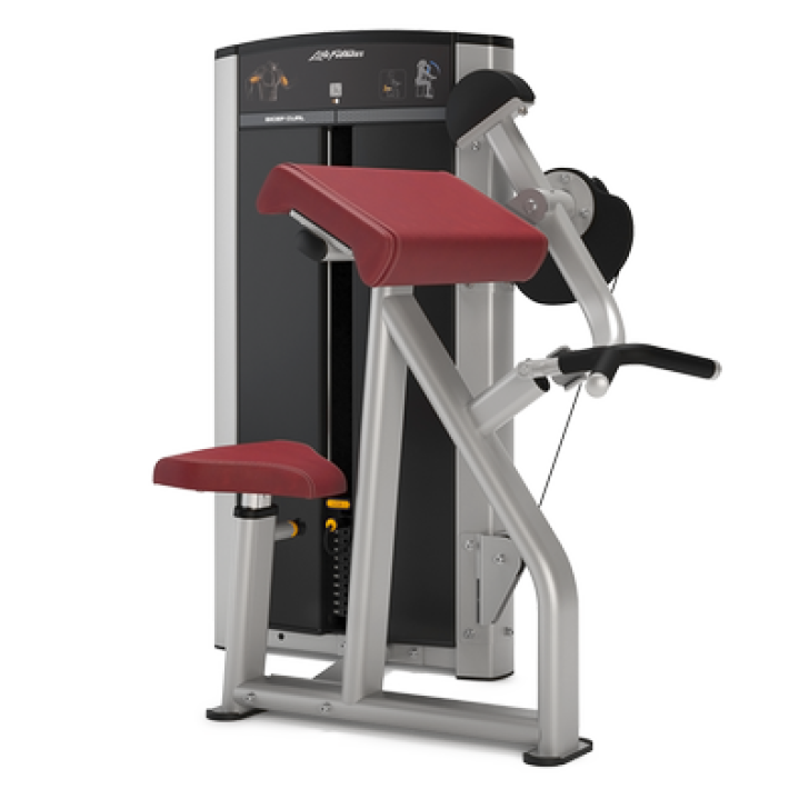 Image of Life Fitness Axiom Series Biceps/ Triceps
