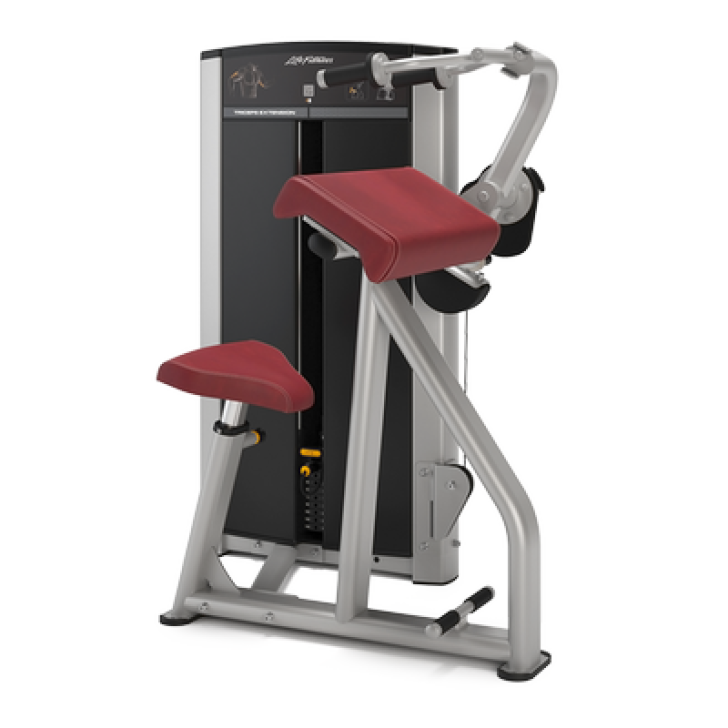 Image of Life Fitness Axiom Series tricep extension 