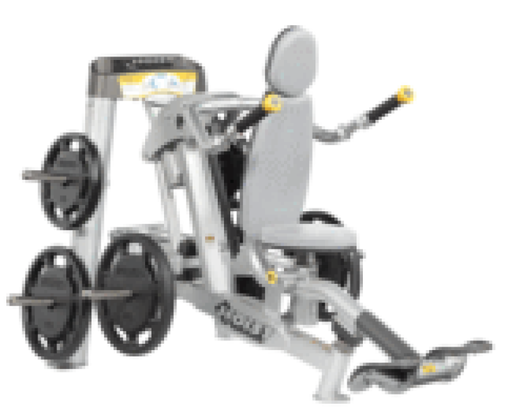 Image of Seated Dip RPL-5101 