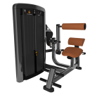 Image of Insignia Series- Back Extension SS-BE