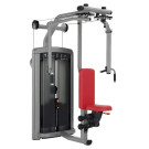 Image of INSIGNIA SERIES Pectoral Fly/Rear Deltoid