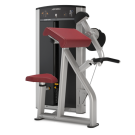 Image of Life Fitness Axiom Series Biceps/ Triceps