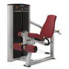 Image of Life Fitness Axiom Series Leg Extension