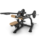 Image of TRUE Fitness' Triceps Extension