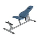 Image of CIRCUIT SERIES AB CURL BENCH