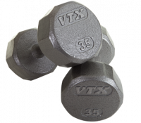 Image of 12 Sided Solid Gray Dumbbells - 10lbs