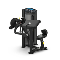 Image of SD-1001 BICEPS/TRICEPS
