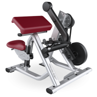 Image of Signature Series Biceps Curl