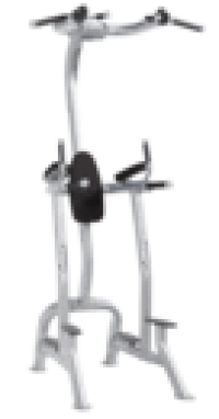 Image of Fitness Tree CF-3962