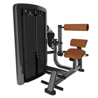 Image of Insignia Series- Back Extension SS-BE