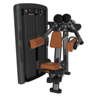 Image of Insignia Series- Lateral Raise SS-LR