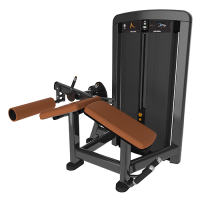 Image of Insignia Series- Leg Curl SS-LC