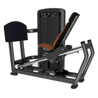Image of Insignia Series- Seated Leg Press SS-SLP