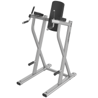 Image of Life Fitness Axiom Series Dip/ Leg Raise 