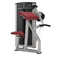 Image of Life Fitness Axiom Series Biceps/ Triceps