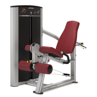 Image of Life Fitness Axiom Series Leg Extension
