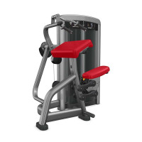 Image of INSIGNIA SERIES Triceps Extension