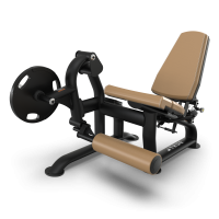 Image of TRUE Fitness' Leg Extension
