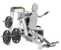 Image of Seated Dip RPL-5101 