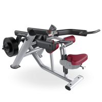 Image of Signature Series Plate Loaded Seated Dip
