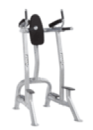 Image of VERTICAL KNEE RAISE / DIP CF-3252 